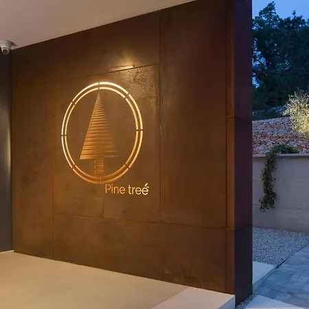 Pine Tree Labin (Istria)