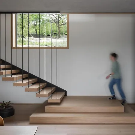 Pine Tree Labin (Istria)