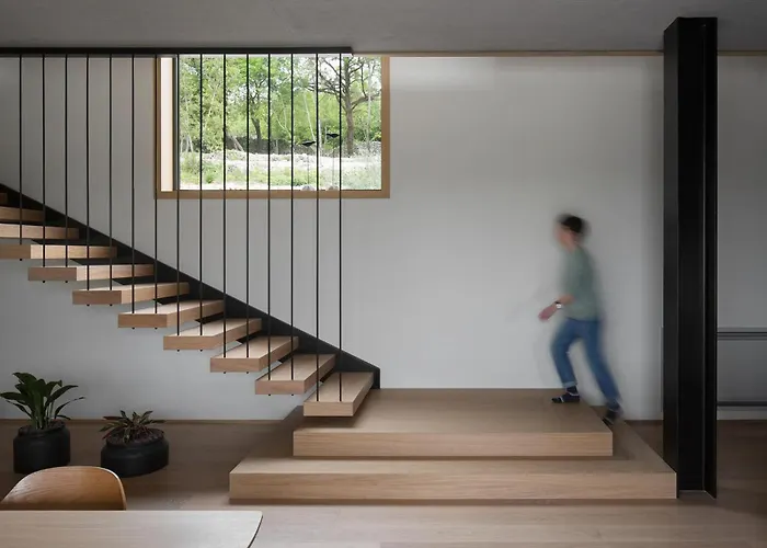 Pine Tree Labin (Istria)